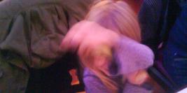 Céline, Sébastien, Alexandre, Lilou et Rose