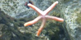 vacances a la grande motte