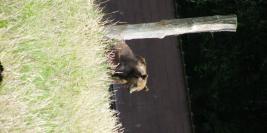 cerza 31 juillet 2009