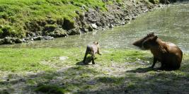 cerza 31 juillet 2009