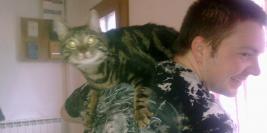 Chez Mégane et son copain