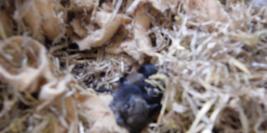 mercredi 28 avril 2010