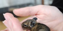 le samedi 1er mai 2010