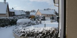 neige 02.2010