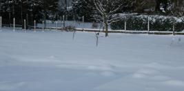 neige 02.2010