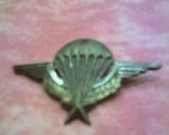 médaille_parachute_papoum