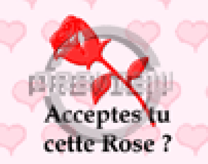 ACCEPTES_ROSE_KM_C117.GIF_PREVIEW_WEB[1]