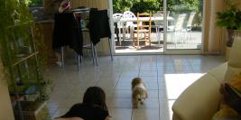 Anniversaire Sophie