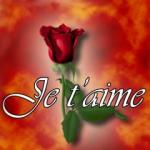 Je t aime 2