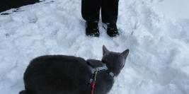 Appartement Montivilliers