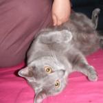 DSCF7527