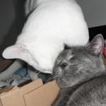 DSCF7543
