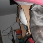 DSCF7545