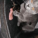DSCF7559