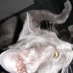 DSCF7562