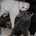 DSCF7577