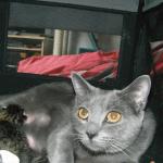 DSCF7584
