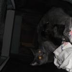 DSCF7597