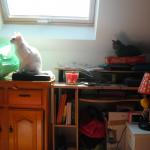 DSCF7614