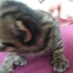 DSCF7795