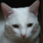 DSCF7841