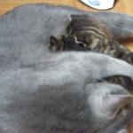 DSCF7843