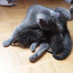 DSCF7845