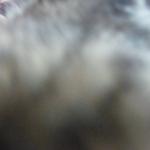 DSCF7853