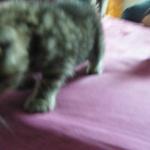 DSCF7857