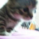 DSCF7859