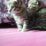 DSCF7862