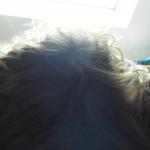 DSCF7871