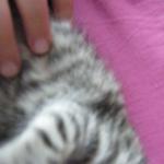DSCF7876