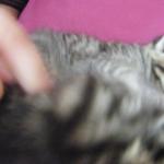 DSCF7880