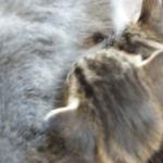 DSCF7962