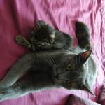 DSCF7967