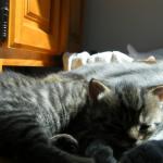 DSCF7973