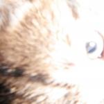 DSCF8050