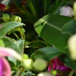 DSC_0550_555