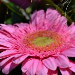 DSC_0580_85_w150_h150_cw150_ch150_thumb